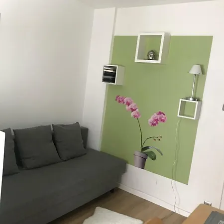 Apartment Functional And Cosy Strasbourg